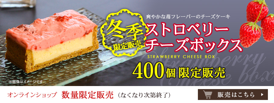 �I�����C���V���b�v�y���ʌ���z�X�g���x���[�`�[�Y�{�b�N�X �I�����C���V���b�v�̔��͂�����