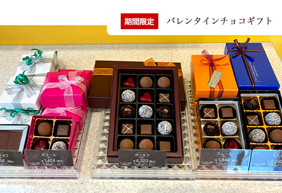 �Ώ�`���R �|���k�t �A���[�� �~���q �{�k�[��